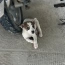 스타트주유소 화장실 이미지