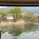 초평낚시터 이미지