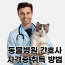 대전광역시 동물보호센터 부속동물병원 | 수의테크니션 되려면? 동물병원 간호사 준비 꿀팁 총정리