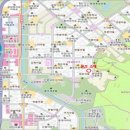 분당-199 네이버블로그