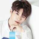 원클린 이미지
