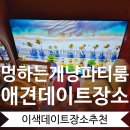 cozy mung | 애견데이트. 멍하는개냥 파티룸. 서울쪽에서 반려견 생일파티 장소 찾고 계신다면 여기 추천!