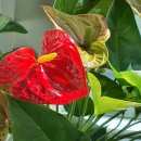 파크수선 이미지