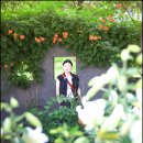 숲피아