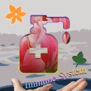 4-1,4-2,4-3,4-4 이미지