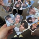 개미와 베짱이 이미지