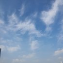 문학을 표현해보자 이미지