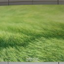 빛바람 이미지