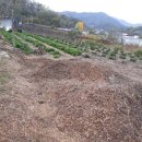 임대길농장 이미지