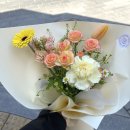 플랑떼플레르 이미지