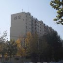 강남-275 이미지