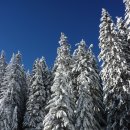 안성맞춤한의원 이미지