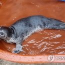 문암수산
