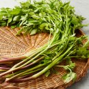 한골농장 이미지