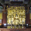 마음여행 이야기 이미지