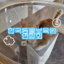 동물보육원 부천지부 이미지