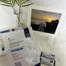 메디웍스 | 메디웍스 아나브러쉬 일반두상용 치석관리 내돈내산 추천