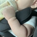 아기와 함께하는 판교 더블트리 힐튼 호텔 호캉스~ 🚗 아기침대, 아기욕조, 라운지 정보