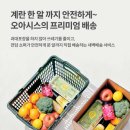 오아시스 이미지