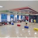 돌려차기 태권도장 이미지