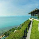 데일리풀 이미지