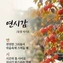 연시감 이미지