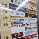 목동 마이요가 임산부요가 산전요가 수강 솔직후기