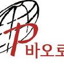 성바오로딸수도회 티스토리