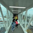 유하의 제주도여행 ✈️🍊 이미지