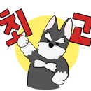 마드레펫 이미지