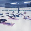 현진무용학원 이미지