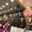 옥암로 95 | 운동 루틴이 즐거워지는 곳 목포 헬스장 허니짐 다녀온 후기