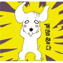 디스크독 연구소 이미지