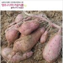 영주식품 이미지