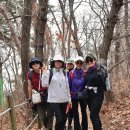 대부도 구봉도 경기 안산시(25.4.9.수) 산행기록 이미지