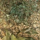 서양미술사A 이미지