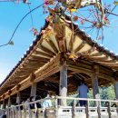 찜닭마을 이미지