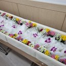 평택병원장례식장 | 부천성모병원 장례식장 비용, 주차비 안내 및 상조회사 비용 205만원