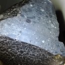 PF디지털OA sciencenews