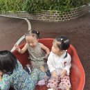 😻아람반💦물 분수놀이~😁😆😁💦 이미지