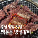 청양고덕갈비 | 독박투어4 청양고덕갈비 맥문동 양념갈비 맛집 위치 및 메뉴 정보