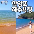 학암포 주차장 | 학암포해수욕장 태안해변 수영 낚시 물때 해루질 개장 주차장