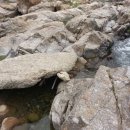 냉천약수터 이미지