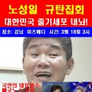 노성일 규탄집회와 미즈메디병원 폐쇄 대작전 이미지