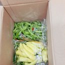 할라피뇨피클 담궈둬야죠, 농라까페 일우일 고추-*