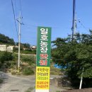 일호농장맛집 이미지