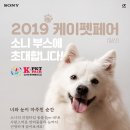 소니코리아, 2019 케이펫페어(K-PET FAIR) 참가 “너와 눈이 마주친 순간” 빠르고 정확한 리얼타임 동물 Eye-AF 기능으로 반려동물의 모든 순간을 포착! 이미지