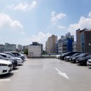 프라임 다모여