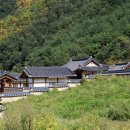 도산래프팅;도산민박