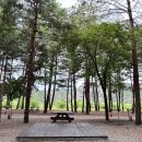 숲속가든캠핑장 | 삼척 병풍바위야영장 조용하고 시원한 숲속 캠핑장 답사 후기